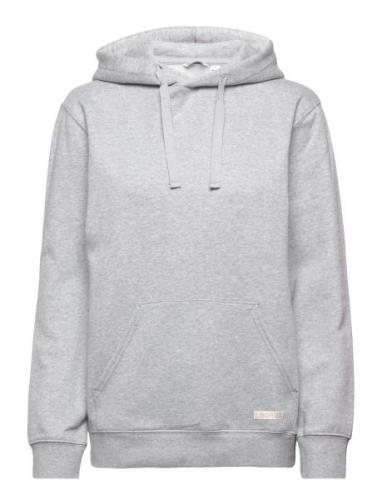 Centre Hoodie Sport Sweat-shirts & Hoodies Hoodies Grey Björn Borg