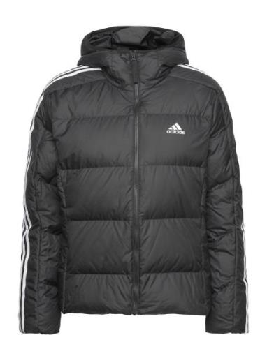 W Ess M D Ho J Sport Jackets Padded Jacket Black Adidas Sportswear