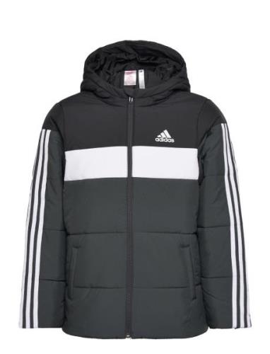 Padded Jacket Kids Sport Jackets & Coats Puffer & Padded Black Adidas ...