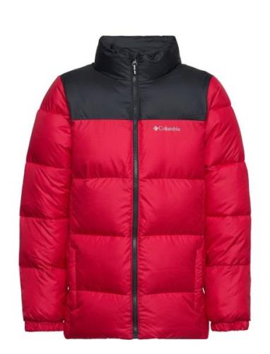 Puffect Jacket Sport Jackets & Coats Puffer & Padded Red Columbia Spor...