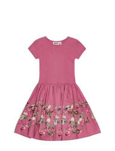 Cissa Dresses & Skirts Dresses Partydresses Pink Molo