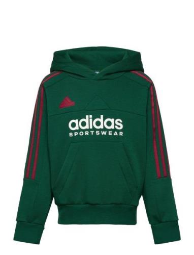 J Np Hoodie Tops Sweat-shirts & Hoodies Hoodies Green Adidas Sportswea...