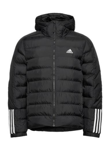 Itavic 3S Midweight Hooded Jacket Fôret Jakke Black Adidas Sportswear