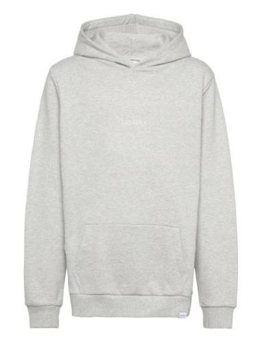 Dexter Hoodie Kids Tops Sweat-shirts & Hoodies Hoodies Grey Les Deux