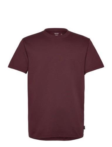 Hco. Guys Knits Tops T-shirts Short-sleeved Burgundy Hollister