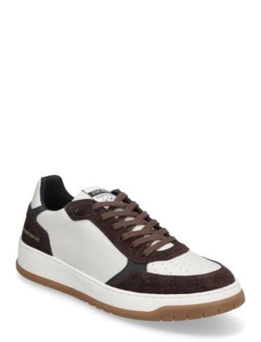 Ace Sneaker Lave Sneakers Brown Steve Madden