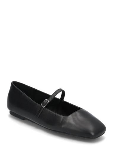 Ezri Ballerinas Ballerinasko Ballerinaer Black Steve Madden