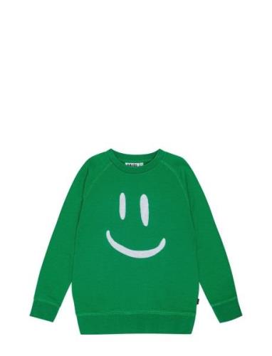 Mike Tops Sweat-shirts & Hoodies Sweat-shirts Green Molo