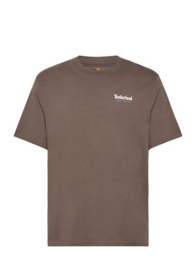 Rugged Active Gear Back Graphic Tee Chocolate Chip Designers T-shirts ...