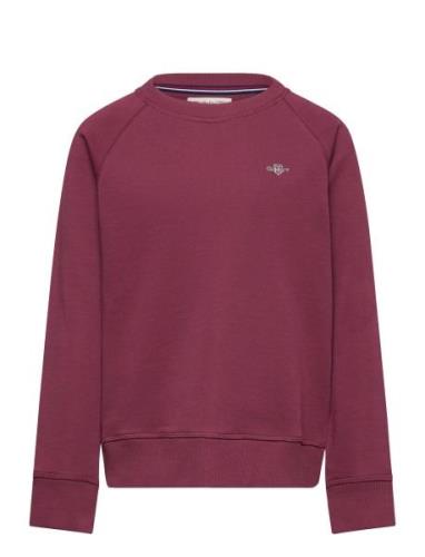 Shield C-Neck Tops Sweat-shirts & Hoodies Sweat-shirts Burgundy GANT