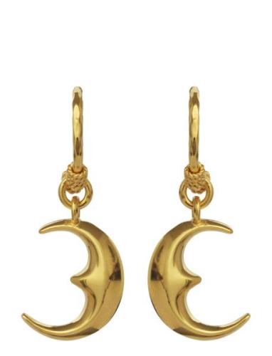 Moonie Earring Øredobber Smykker Gold Maanesten