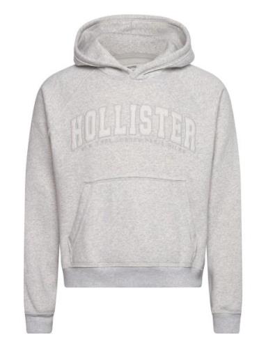 Hco. Guys Sweatshirts Tops Sweat-shirts & Hoodies Hoodies Grey Hollist...