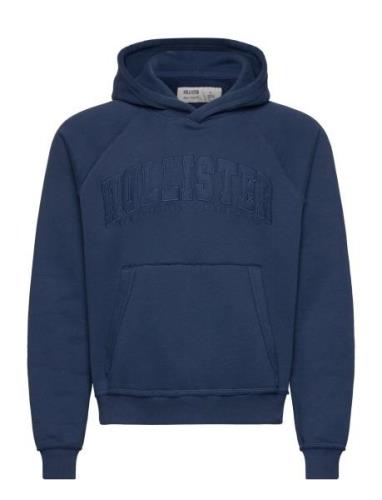 Hco. Guys Sweatshirts Tops Sweat-shirts & Hoodies Hoodies Blue Hollist...