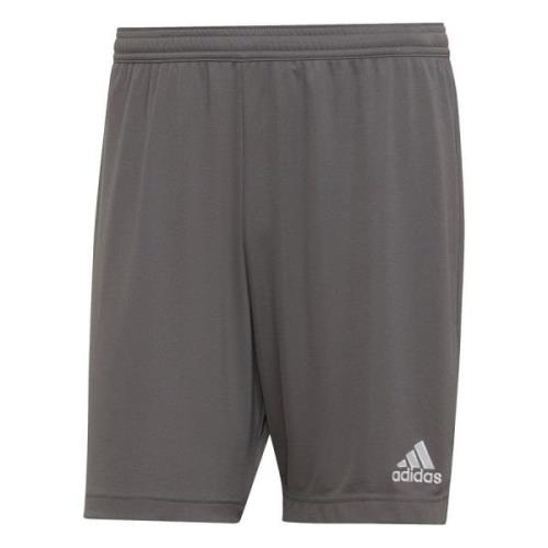 adidas Shorts Entrada 22 - Grå Barn