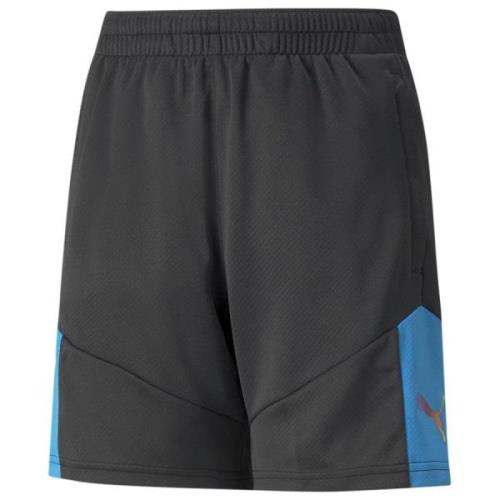 PUMA Treningsshorts IndividualFINAL - Sort/Blå Barn