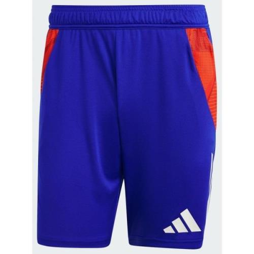 Adidas Tiro 24 Competition Training Shorts