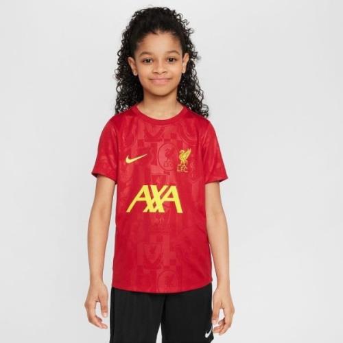 Liverpool Trenings T-Skjorte Dri-FIT Academy Pro Pre Match - Rød/Gul B...